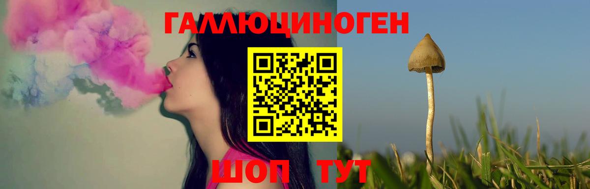 Галлюциногенные грибы MAGIC MUSHROOMS  Вход с VPN  Усинск 